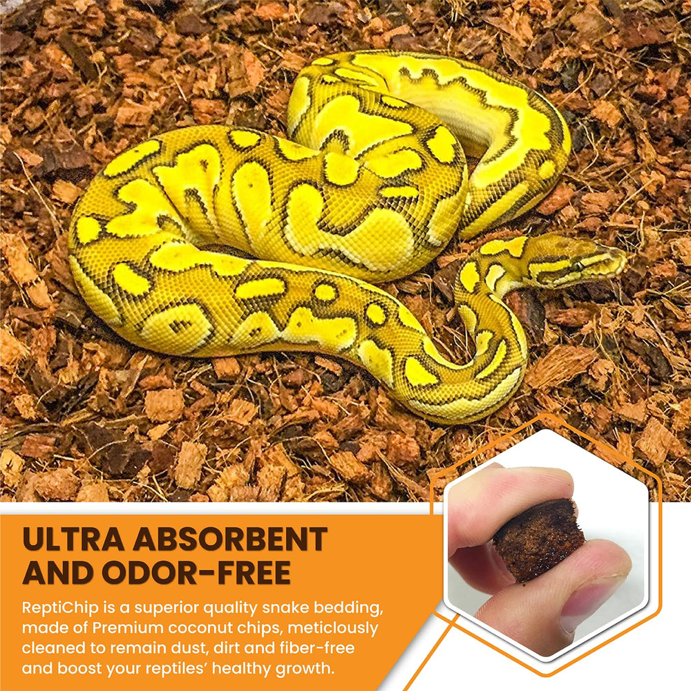 ReptiChip used in a ball python terrarium illustrating natural burrowing substrate and comfort