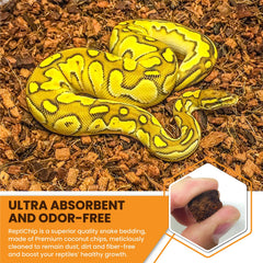 ReptiChip used in a ball python terrarium illustrating natural burrowing substrate and comfort