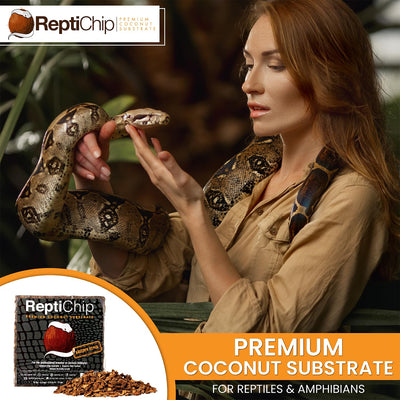 ReptiChip in a tortoise enclosure lifestyle shot demonstrating natural look and odor control
