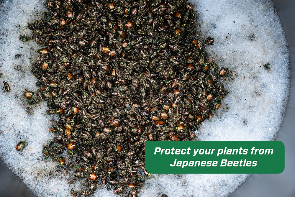 RESCUE! attractant cartridge close-up demonstrating seasonal lure longevity