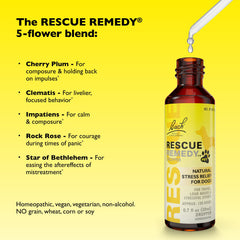 RESCUE perro pequeño recibiendo gotas con calma y confianza