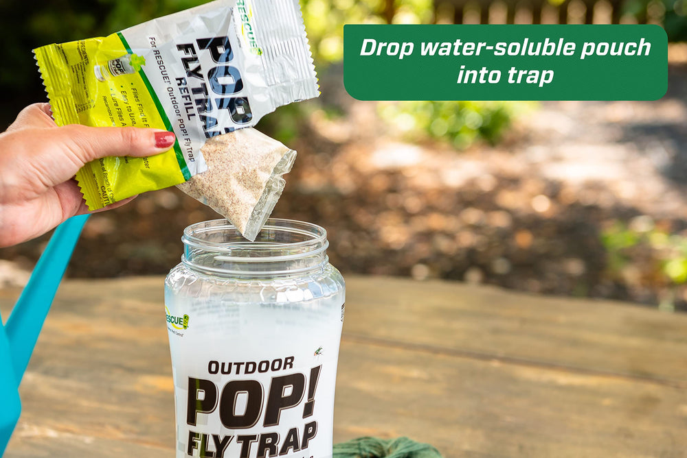 RESCUE! trap filled with trapped flies demonstrating high-capacity benefit