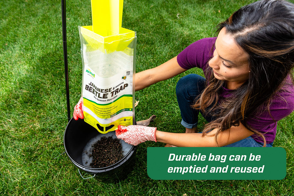 RESCUE! trap hung in garden attracting beetles away from plants, protects foliage