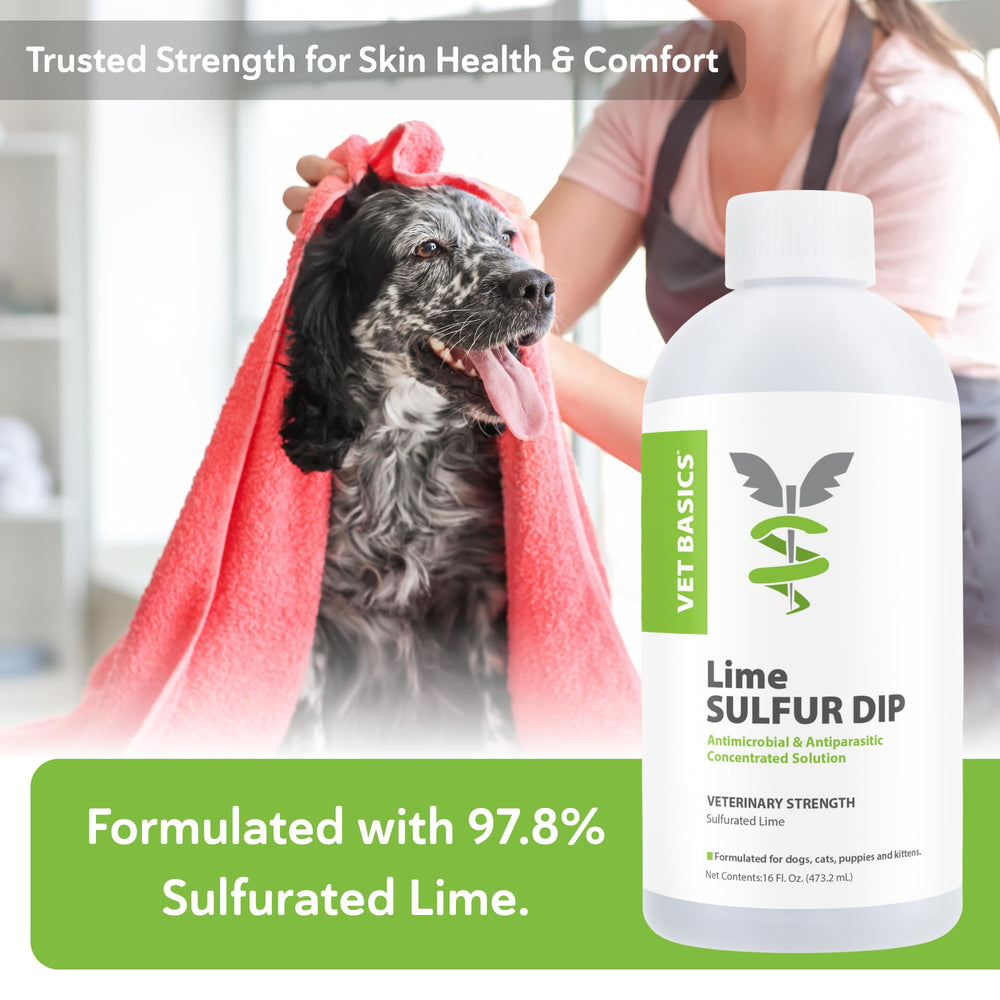 Revival Animal Health aplicación con esponja en perro para control de irritación cutánea