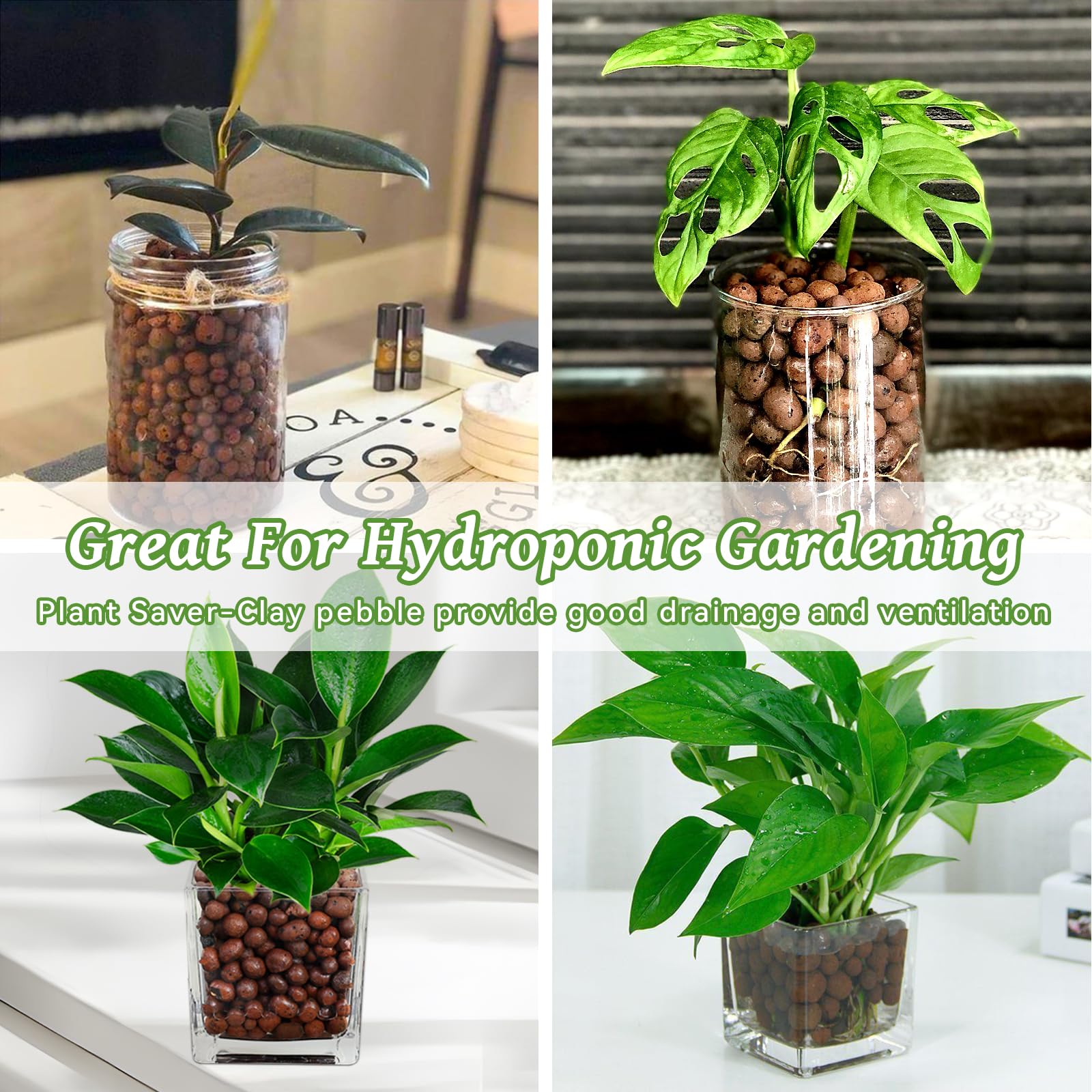 Riare propagation jar using LECA supporting faster root formation