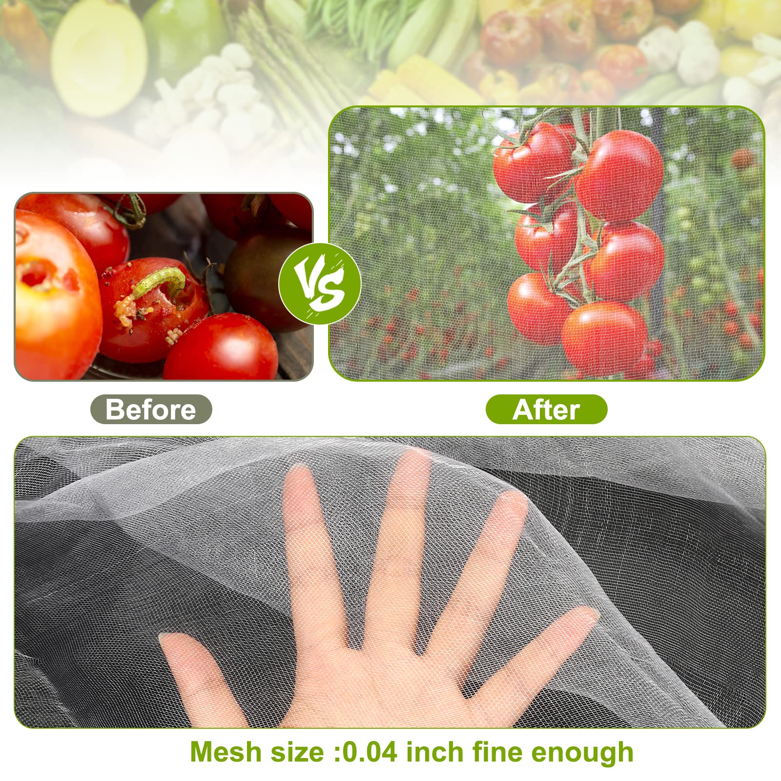 RIFNY malla cubriendo plantas de tomate manteniendo insectos alejados