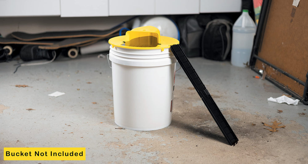 RinneTraps lid mounted on a 5-gallon bucket demonstrating multi-catch setup