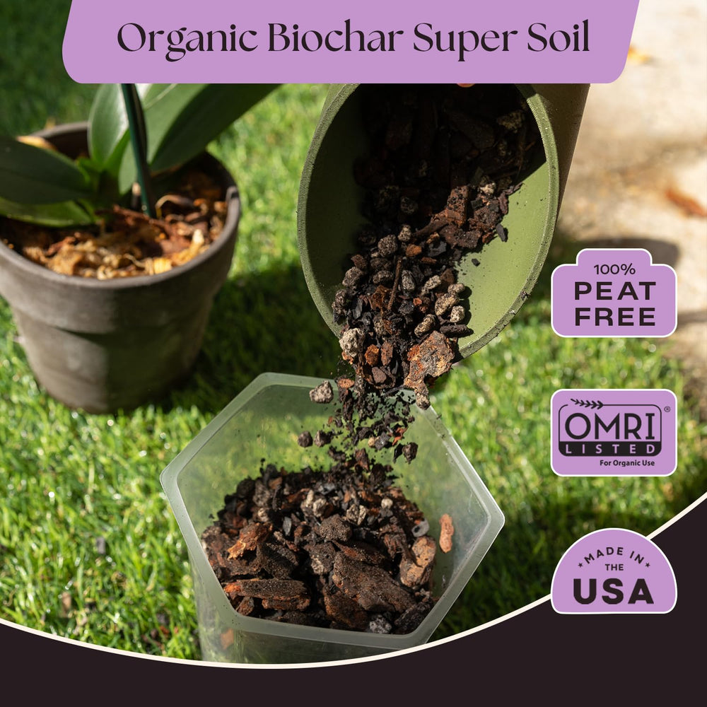 Rosy Soil detalle de biocarbón que mejora retención y salud del suelo