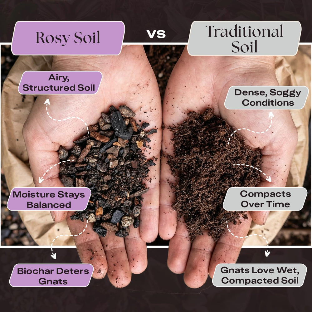 Rosy Soil mezcla en maceta con orquídea para trasplante sin encharcar