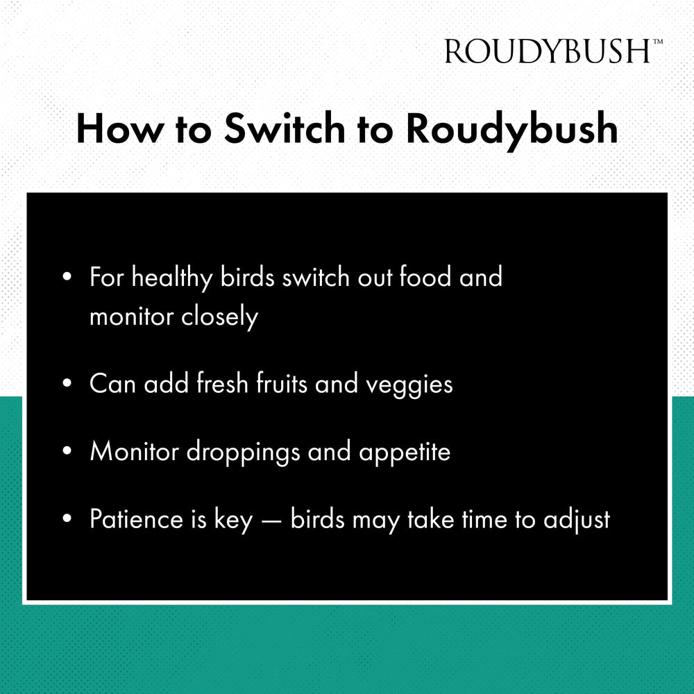 RoudyBush paquete en cocina, almacenamiento ordenado y accesible
