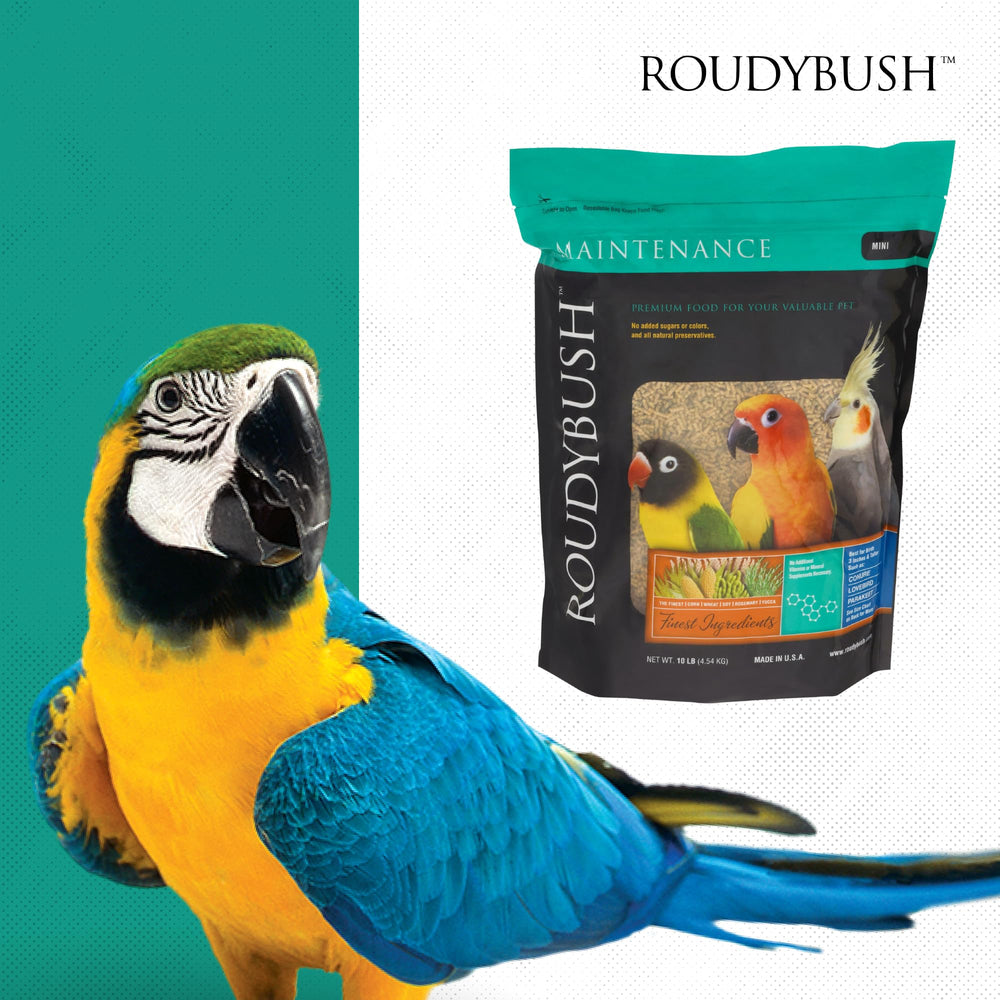 RoudyBush plato con pellets y piezas de fruta para mostrar complemento saludable