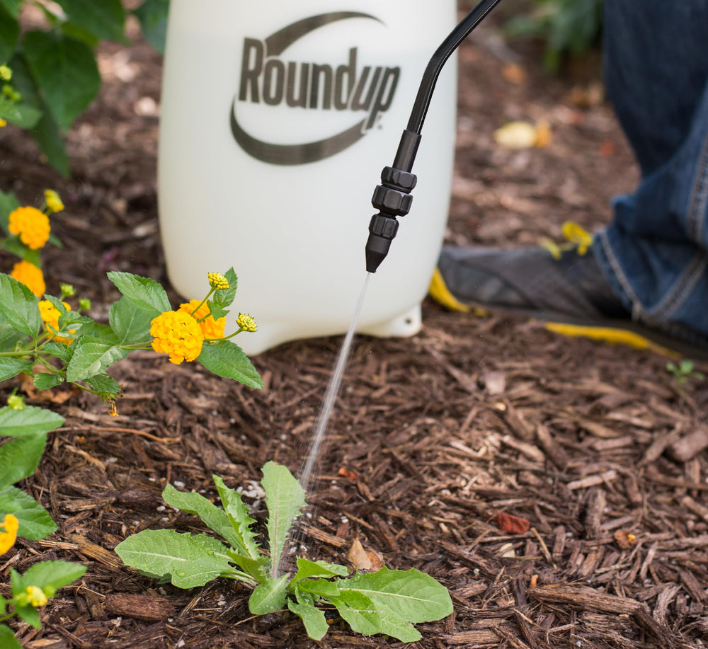 Roundup pulverizador junto a objeto para comparar tamaño y capacidad de 2 galones