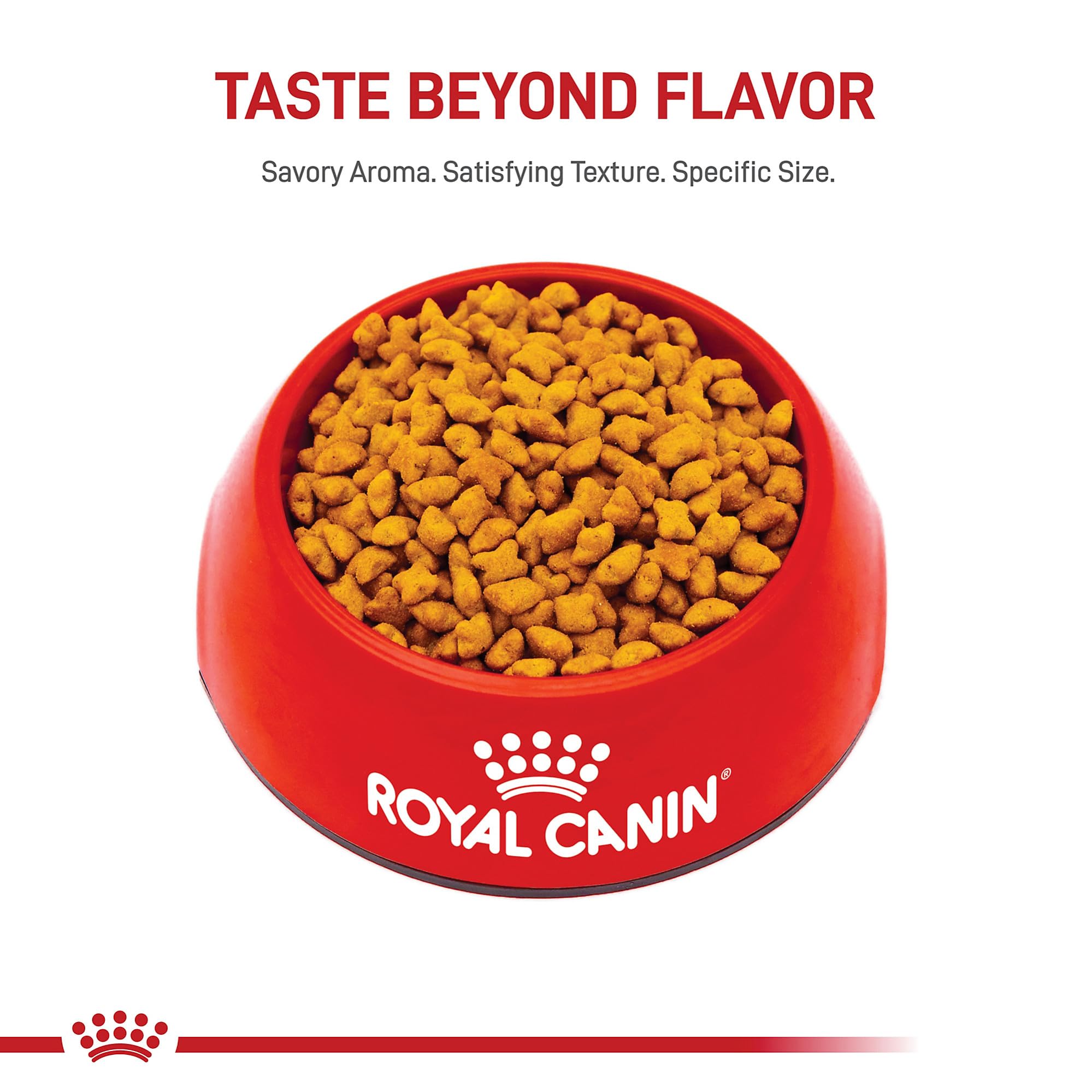 ROYAL CANIN gatito en sala casera mostrando apetito y energía equilibrada