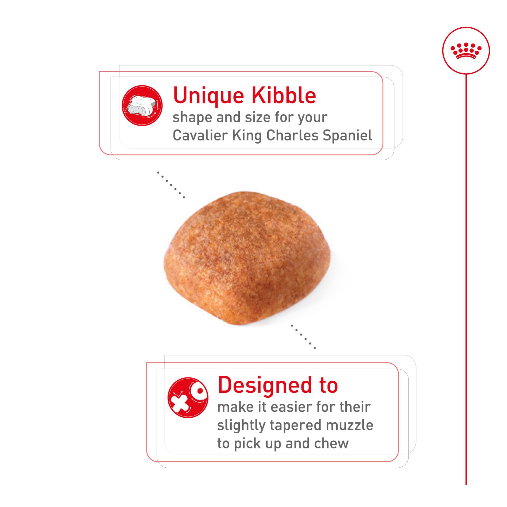 ROYAL CANIN detalle de croqueta fácil de coger para Cavalier