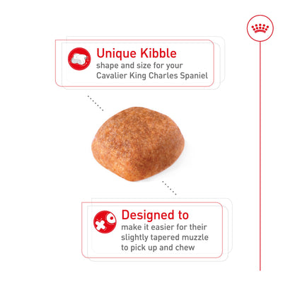 ROYAL CANIN detalle de croqueta fácil de coger para Cavalier