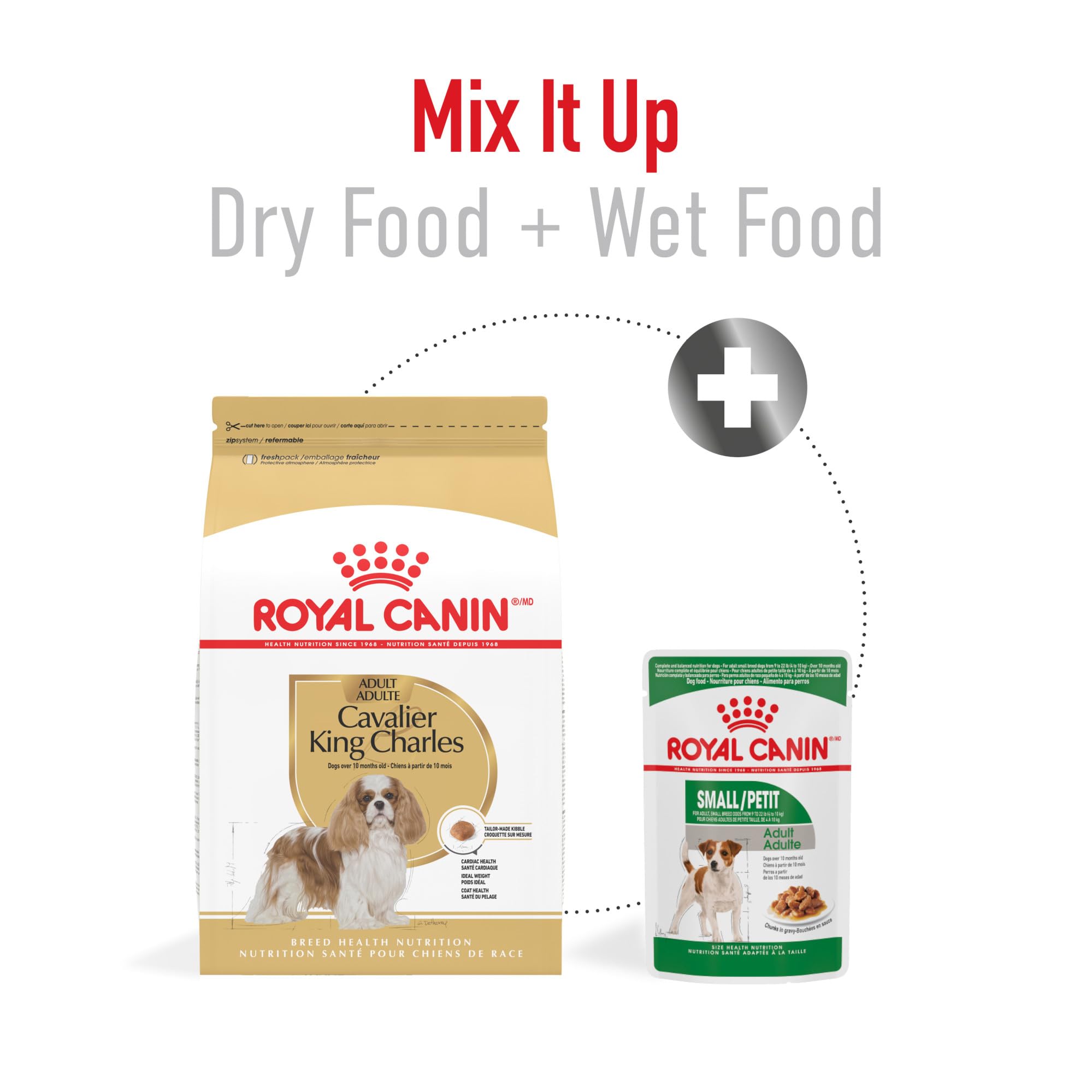 ROYAL CANIN bolsa 10 lb demostrando cantidad y tamaño real