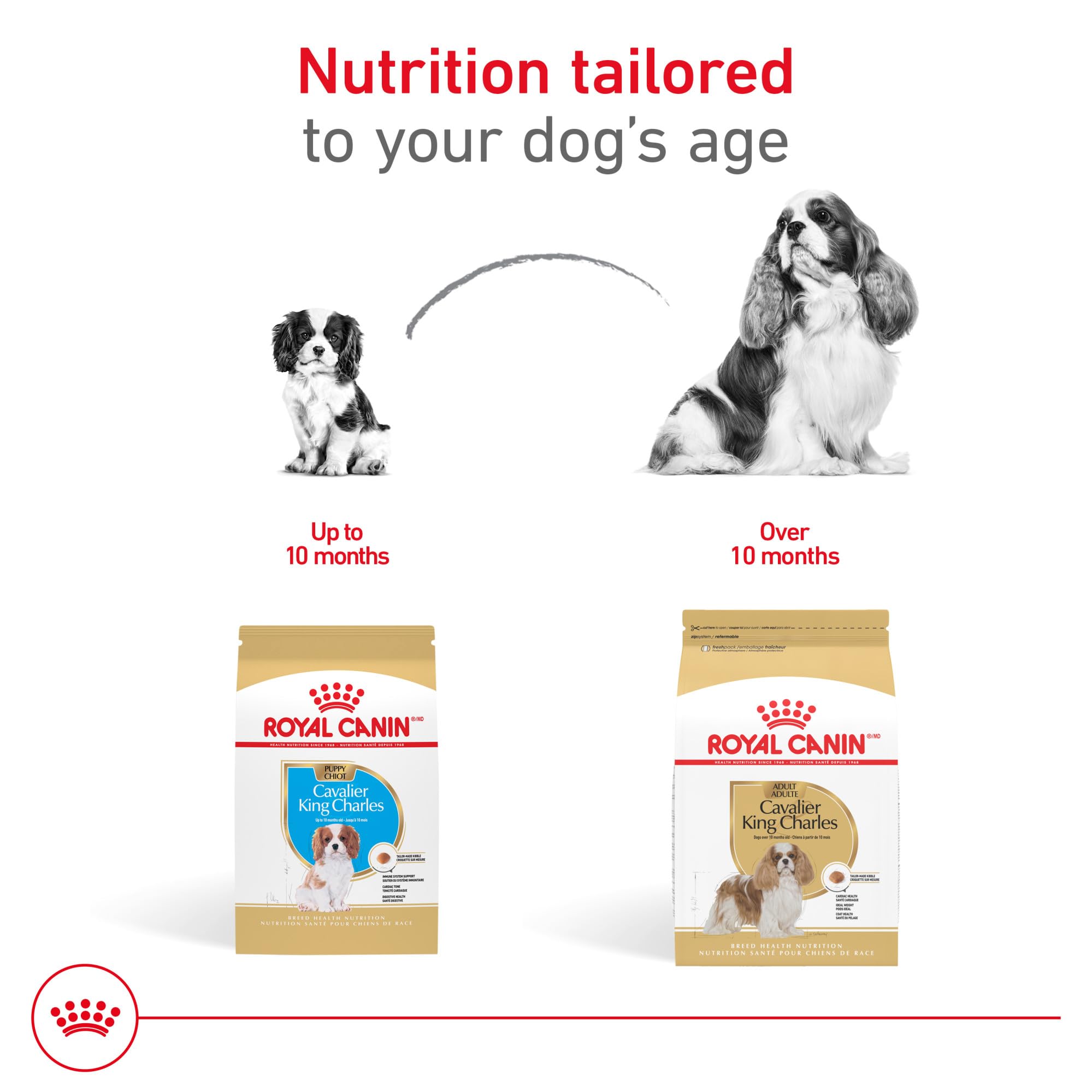 ROYAL CANIN etiqueta nutricional mostrando ingredientes clave