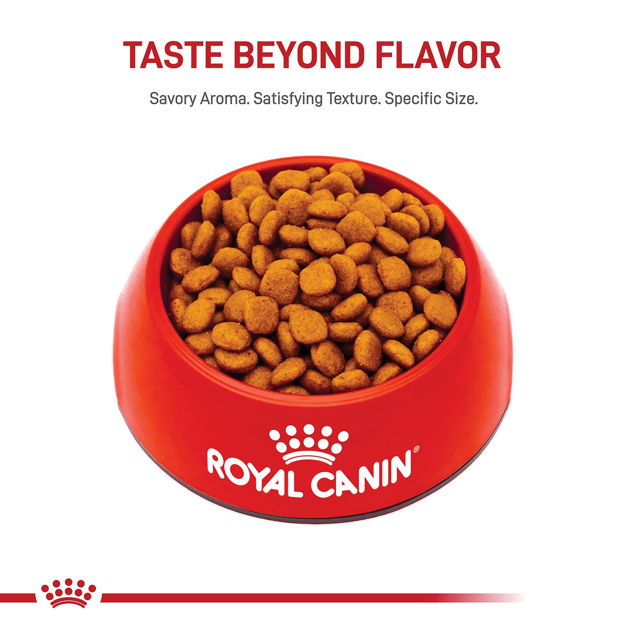 ROYAL CANIN Cavalier con pelaje brillante tras nutrición adecuada