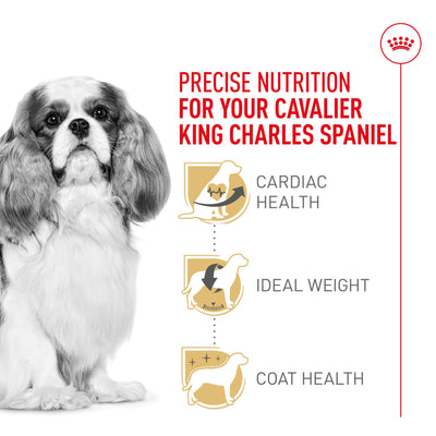 ROYAL CANIN textura de croqueta adaptada a mordida en tijera