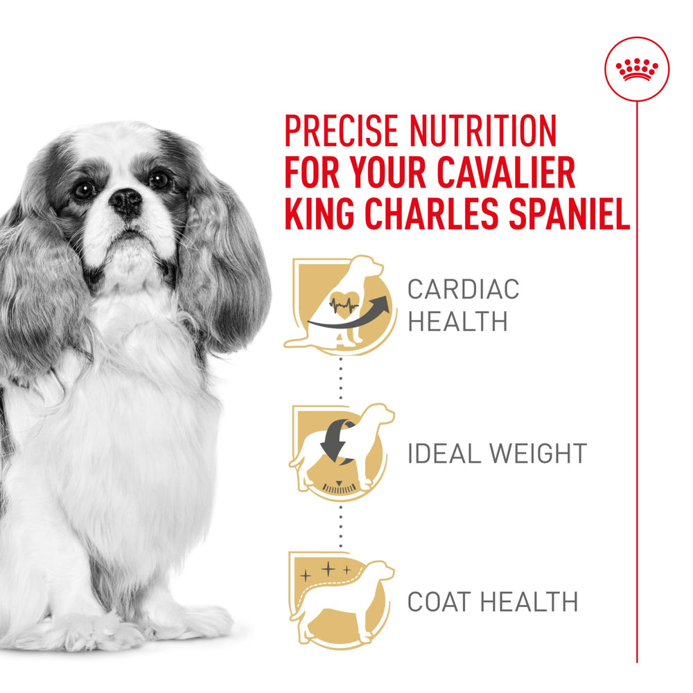 ROYAL CANIN textura de croqueta adaptada a mordida en tijera