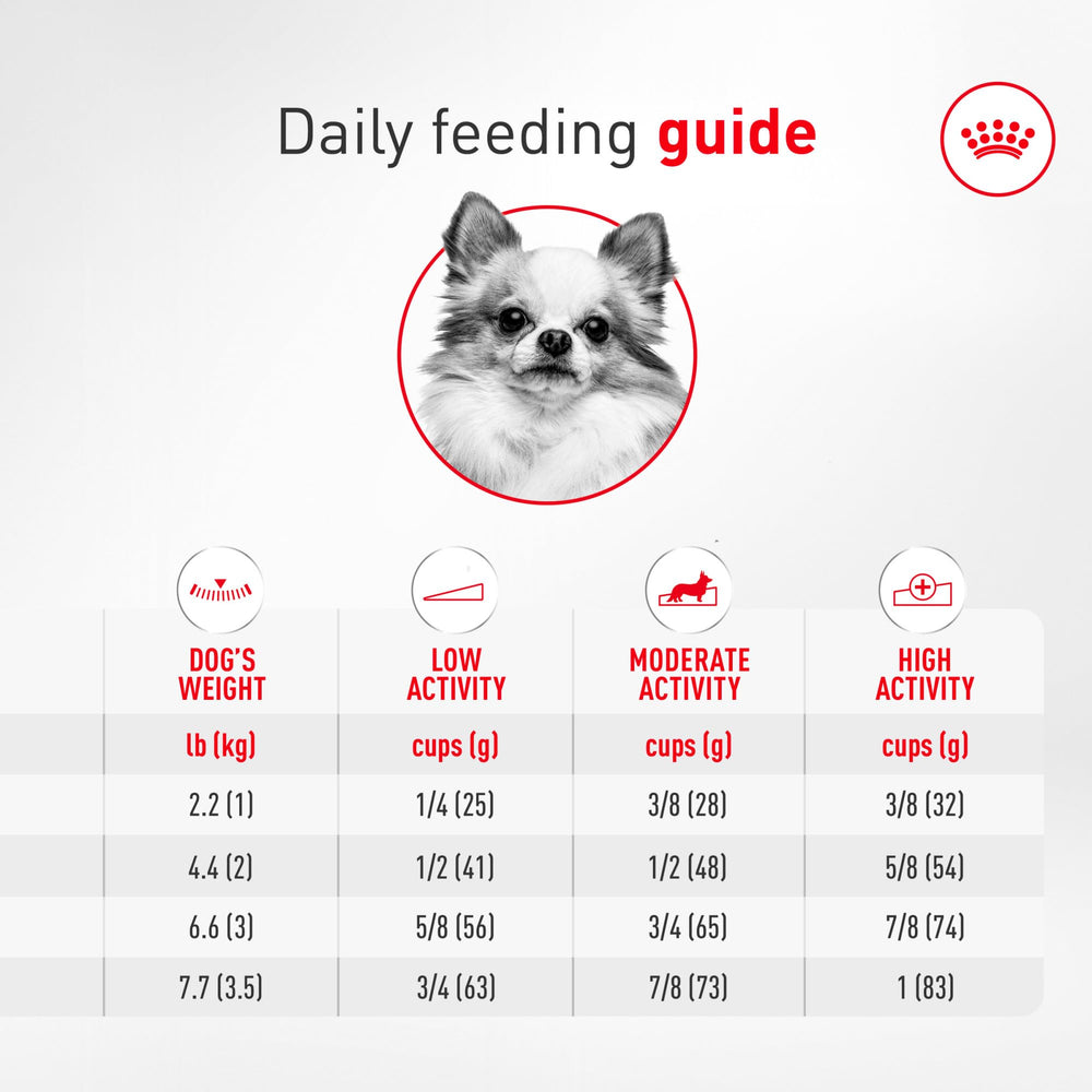 ROYAL CANIN ración servida en cuenco para medir porciones precisas