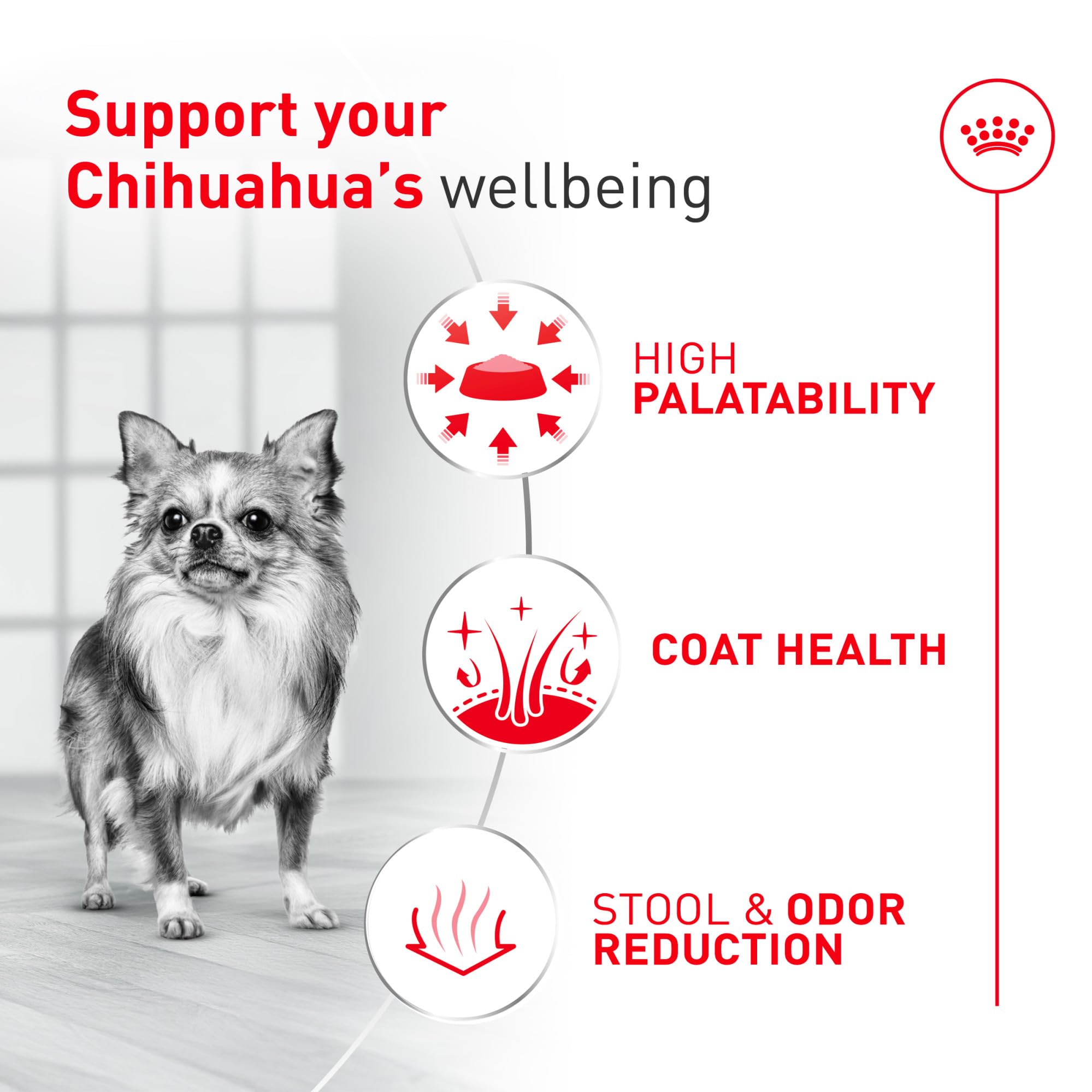 ROYAL CANIN vertido de alimento seco para ver textura y atractivo visual