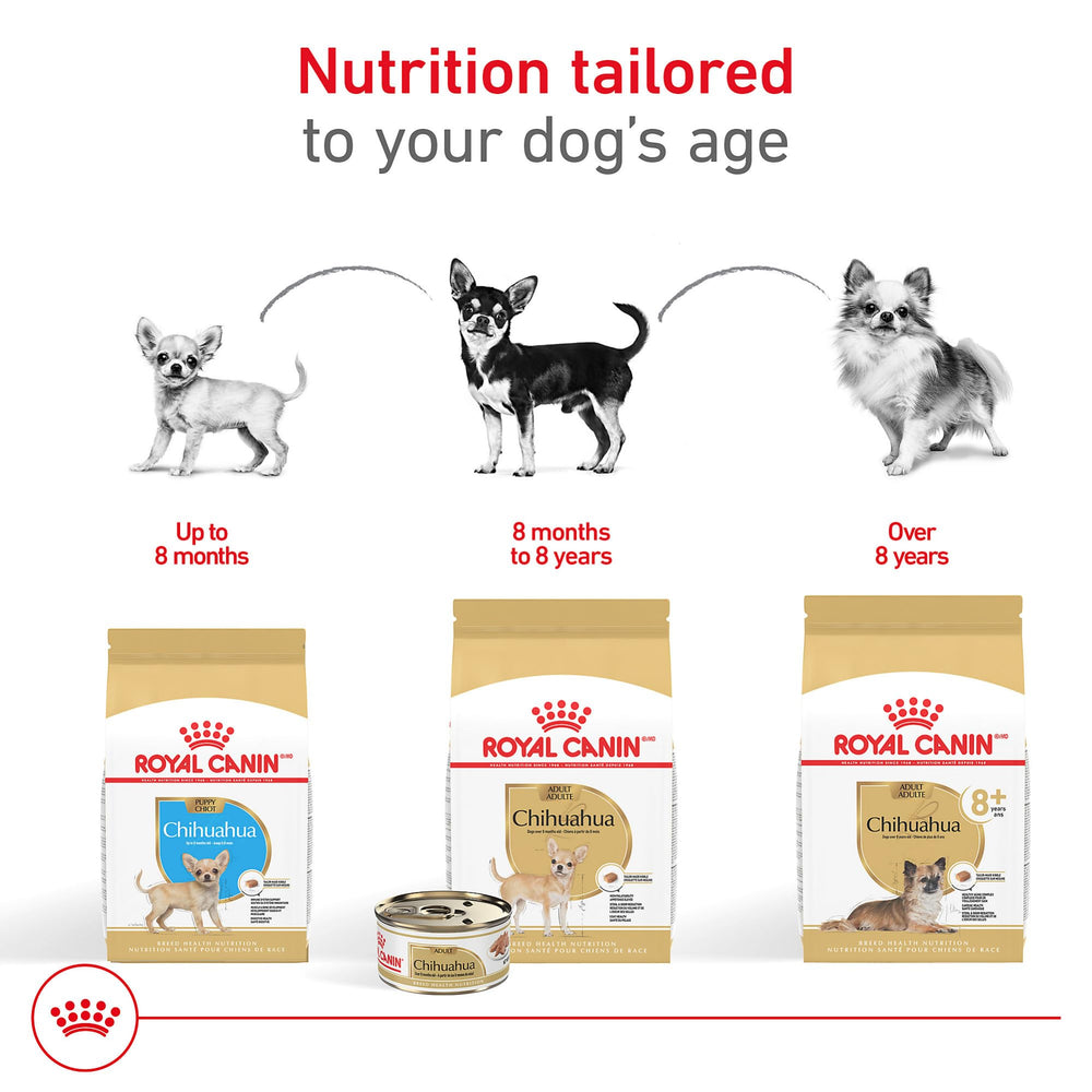 ROYAL CANIN etiqueta con información de taurina, EPA y DHA