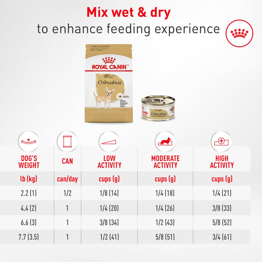 ROYAL CANIN Chihuahua en casa disfrutando alimento específico de raza