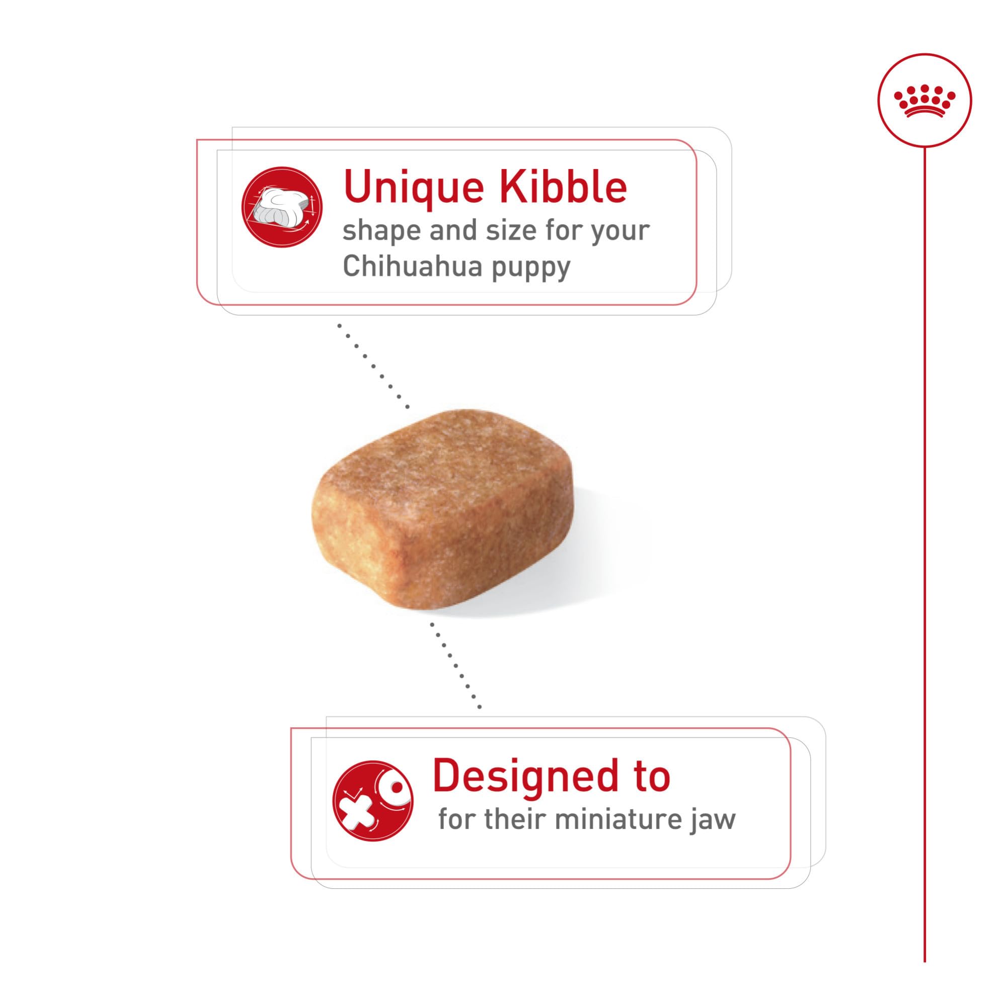 Detalle de la croqueta ROYAL CANIN Chihuahua Puppy que facilita la masticación en cachorros