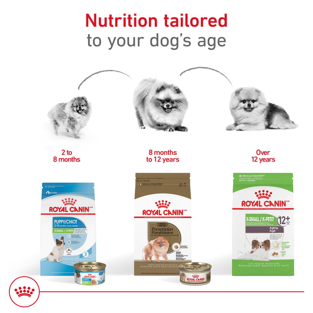 ROYAL CANIN comparación de tamaño de croqueta con una moneda para escala