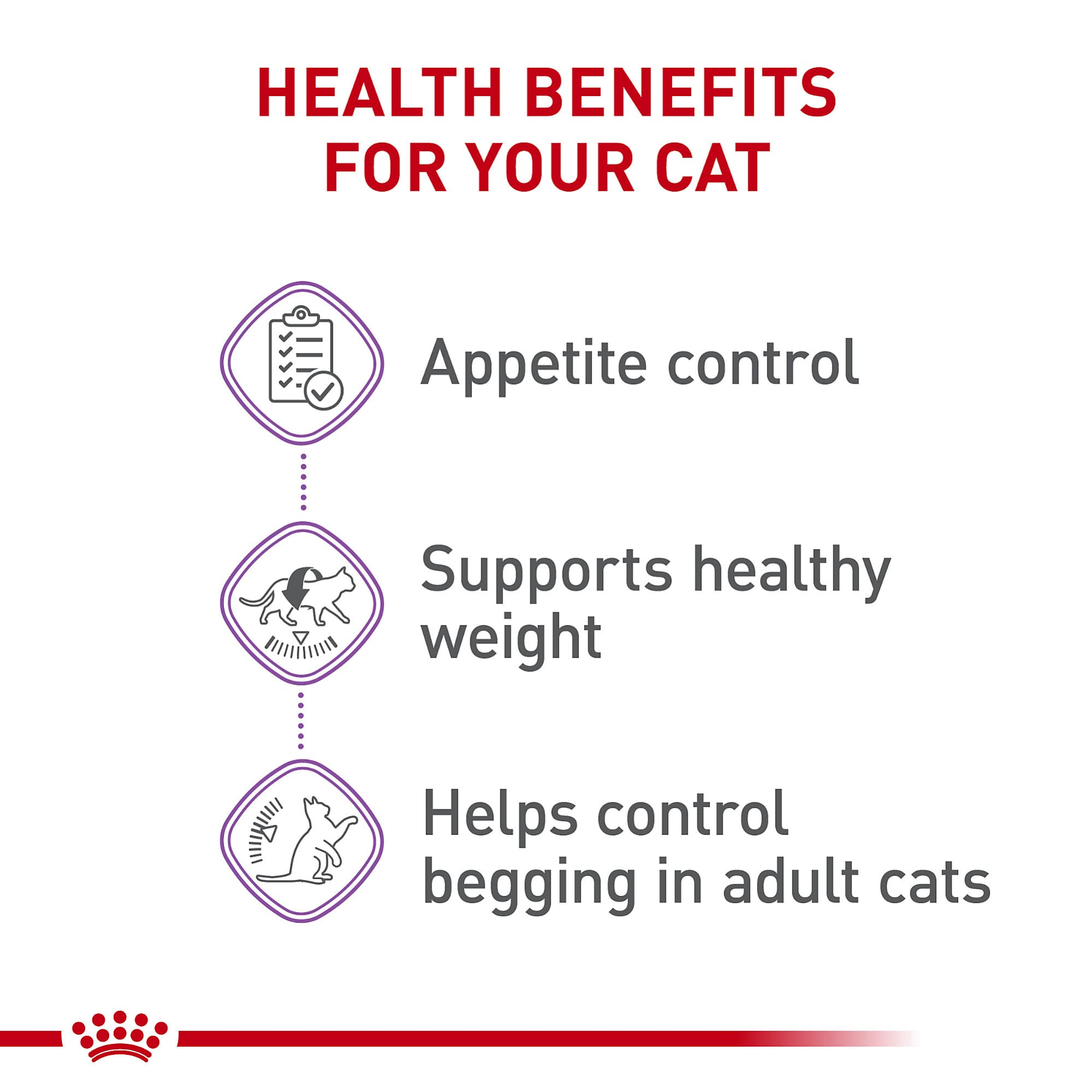 Tazón servido con ROYAL CANIN Appetite Control, alimento equilibrado para peso saludable