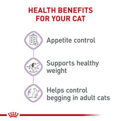 Tazón servido con ROYAL CANIN Appetite Control, alimento equilibrado para peso saludable
