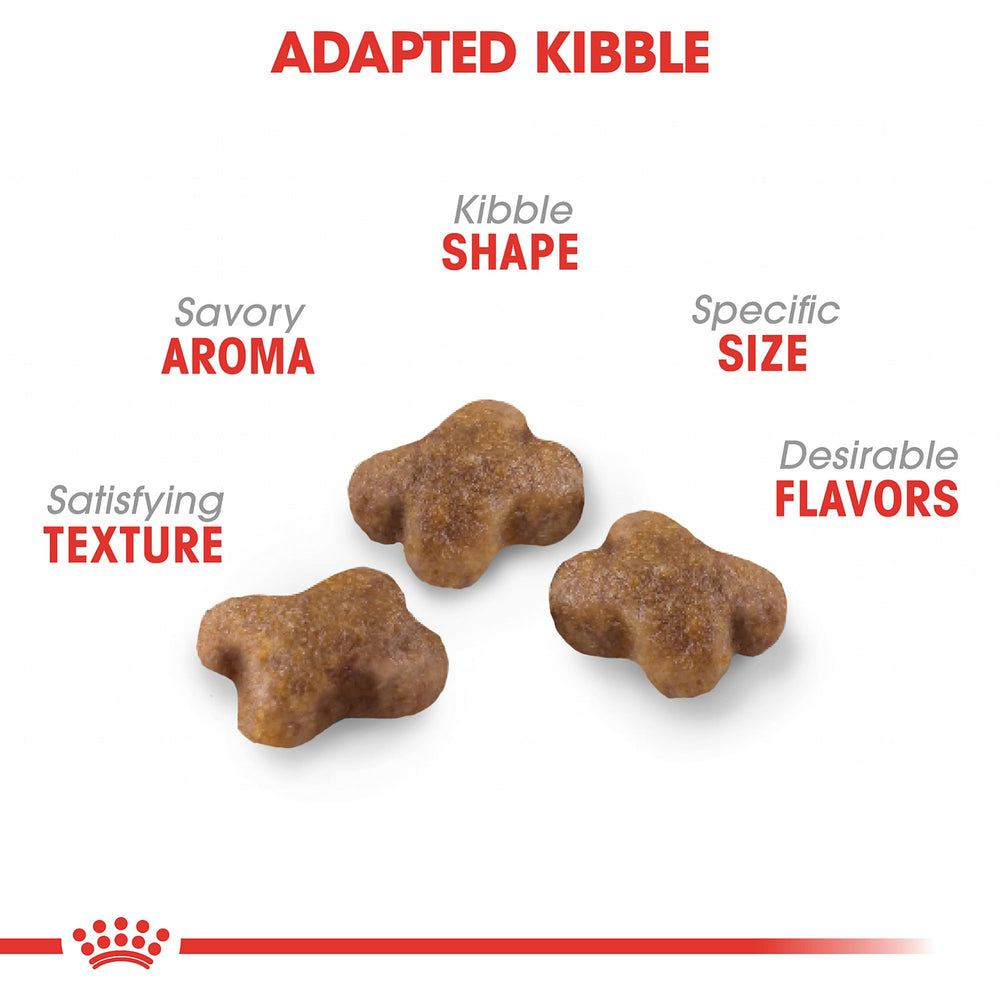 ROYAL CANIN primer plano de croqueta Kitten textura fácil de masticar