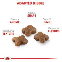 ROYAL CANIN primer plano de croqueta Kitten textura fácil de masticar