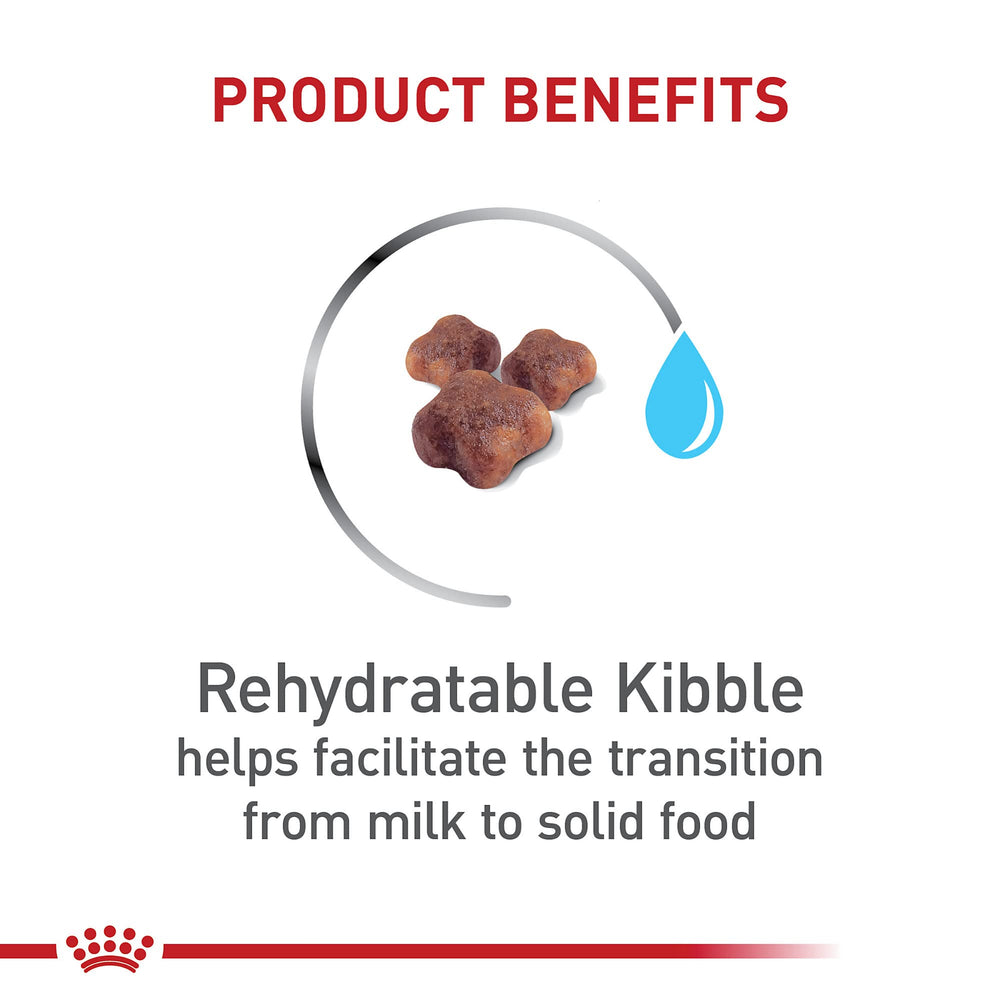 ROYAL CANIN primer plano de croqueta textura rehidratable para fácil masticación
