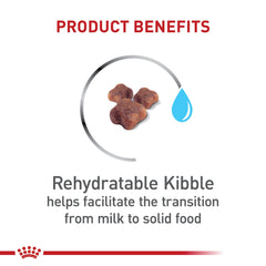 ROYAL CANIN primer plano de croqueta textura rehidratable para fácil masticación