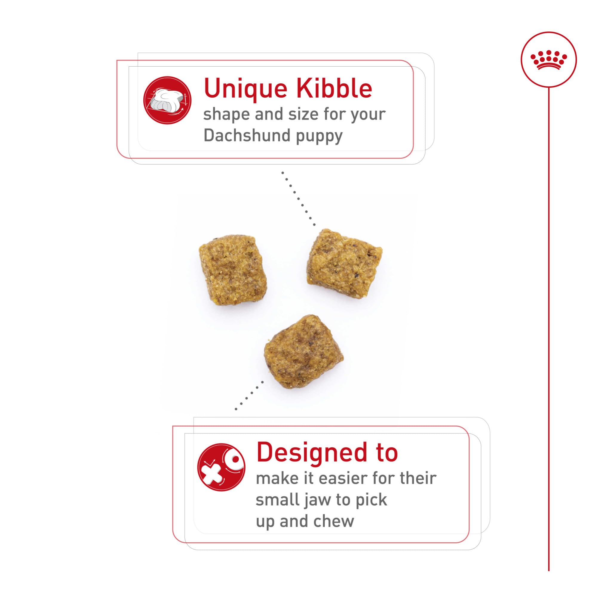 ROYAL CANIN primer plano de la croqueta destacando textura y forma