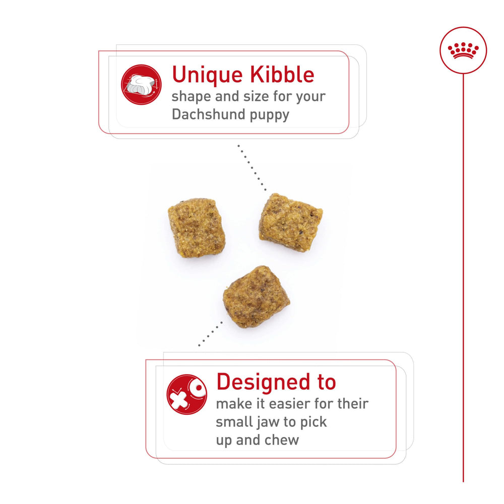 ROYAL CANIN primer plano de la croqueta destacando textura y forma