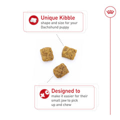 ROYAL CANIN primer plano de la croqueta destacando textura y forma