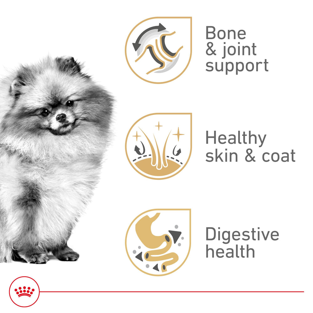 ROYAL CANIN croqueta en primer plano diseñada para mandíbulas pequeñas