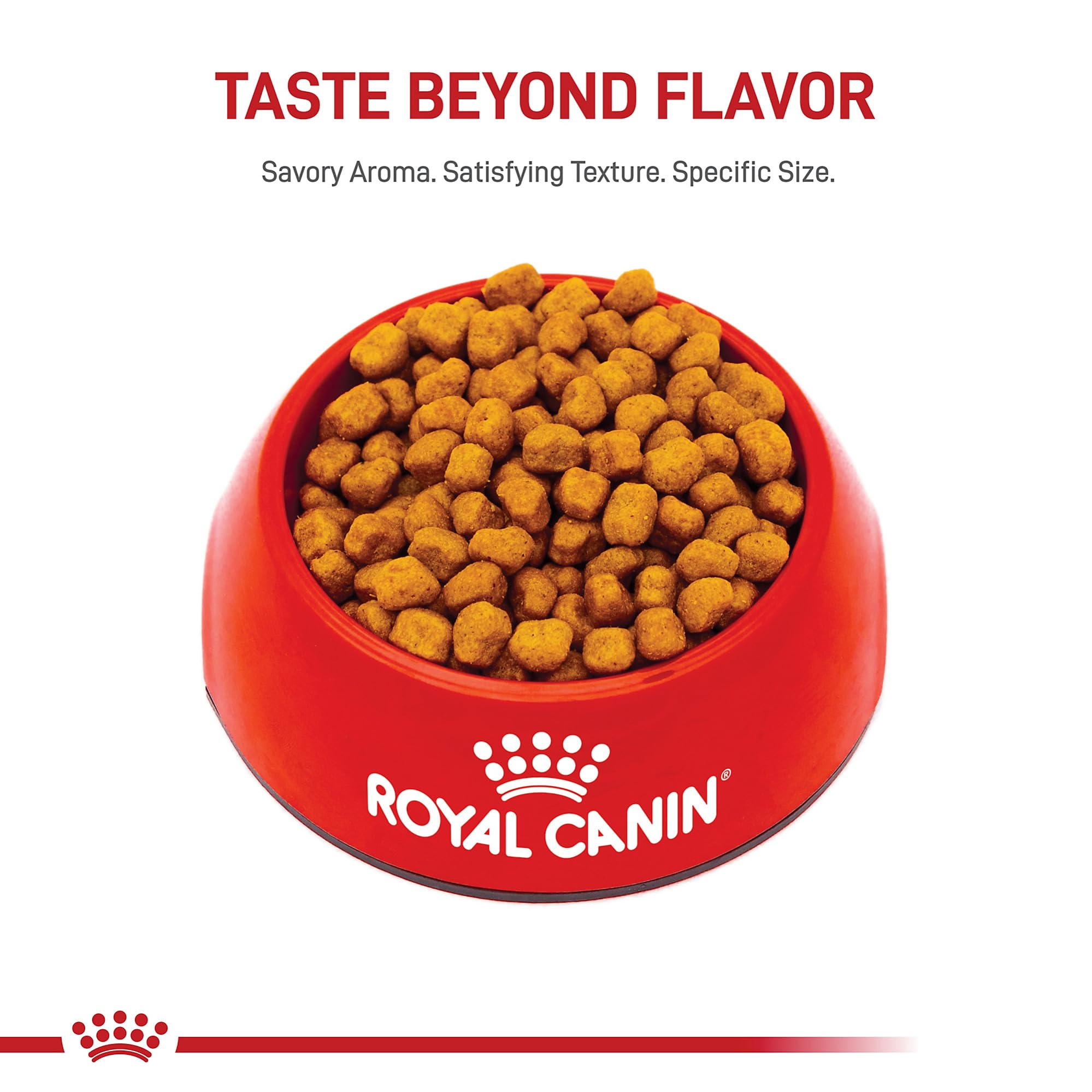 ROYAL CANIN detalle de croqueta, forma adaptada para hocico corto y masticación fácil