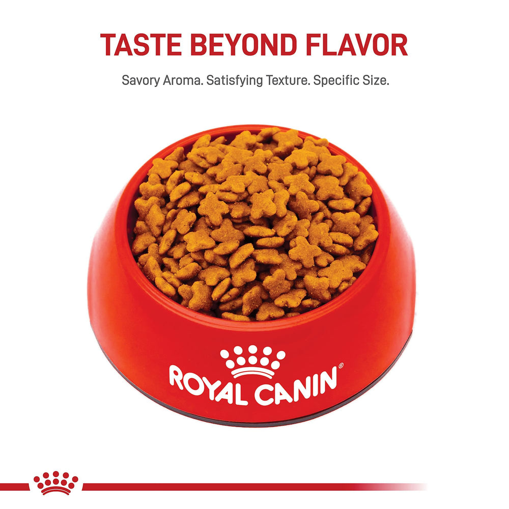 ROYAL CANIN primer plano de una croqueta que destaca su forma fácil de masticar