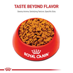 ROYAL CANIN primer plano de una croqueta que destaca su forma fácil de masticar