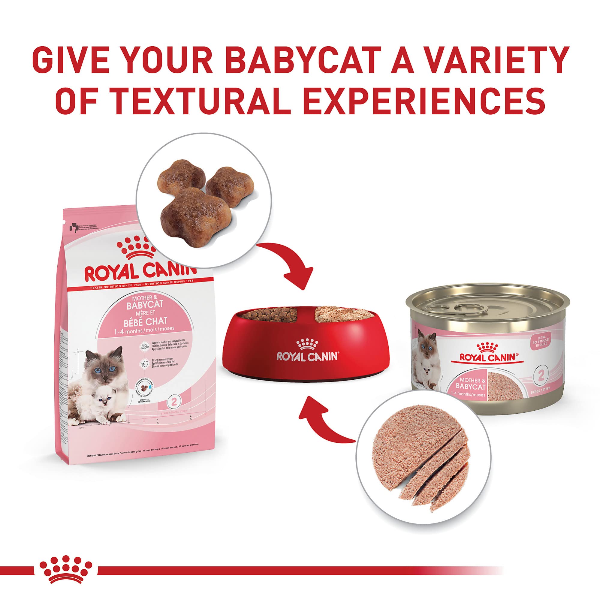 ROYAL CANIN croqueta rehidratada en plato facilitando transición del destete