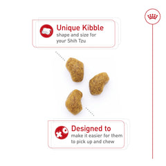 ROYAL CANIN comparación de tamaño de croqueta junto a moneda, visualiza escala y comodidad
