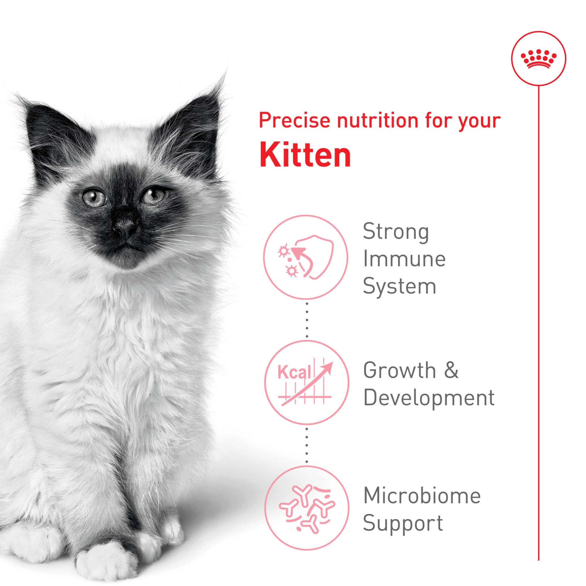 ROYAL CANIN comparación de croqueta Kitten tamaño en mano práctico