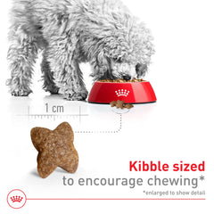 ROYAL CANIN textura de croqueta crujiente que favorece higiene oral y palatabilidad