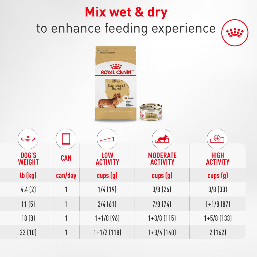 ROYAL CANIN plato con seco y húmedo comparando opciones de alimentación