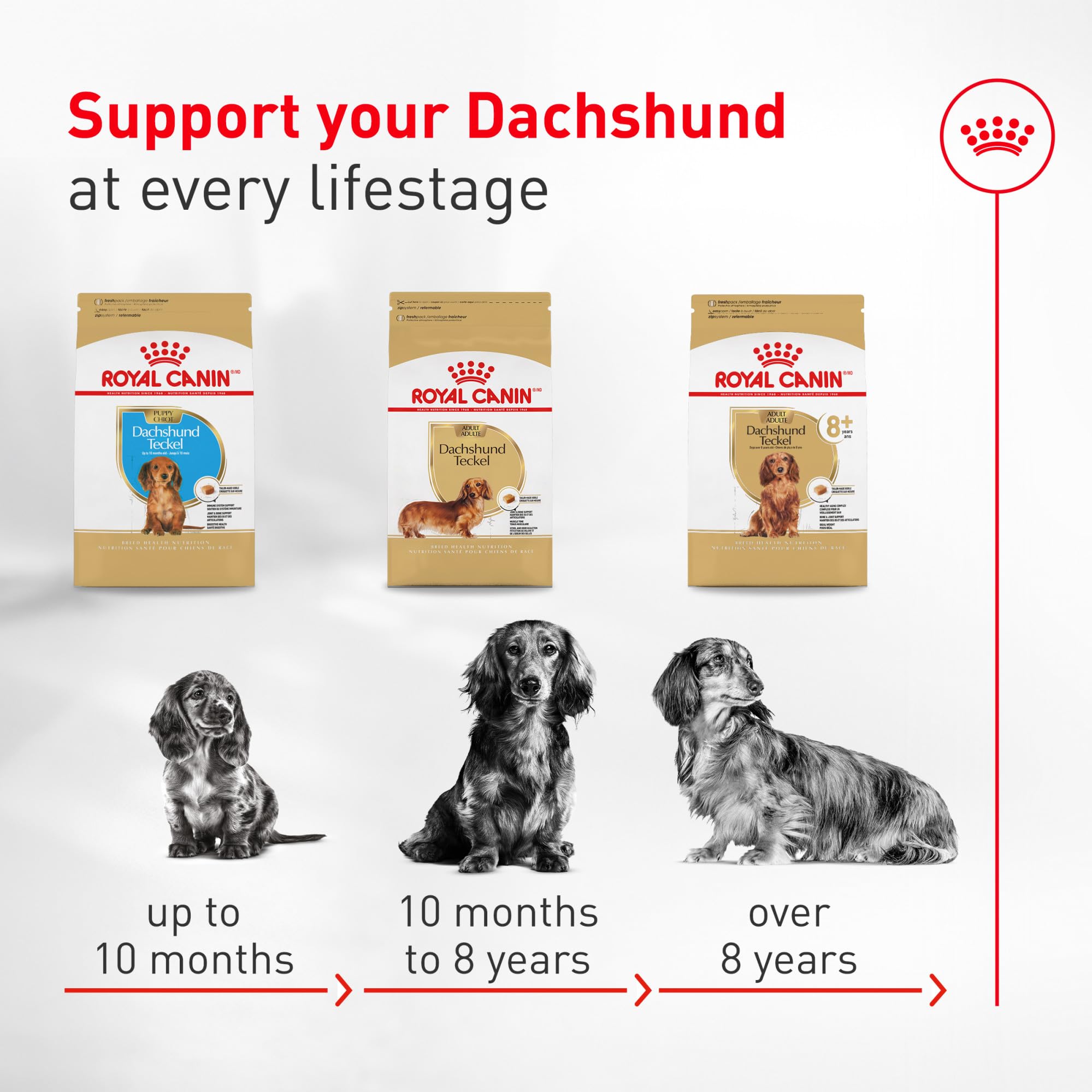 ROYAL CANIN kibble junto a mano para comparar tamaño y facilidad de agarre