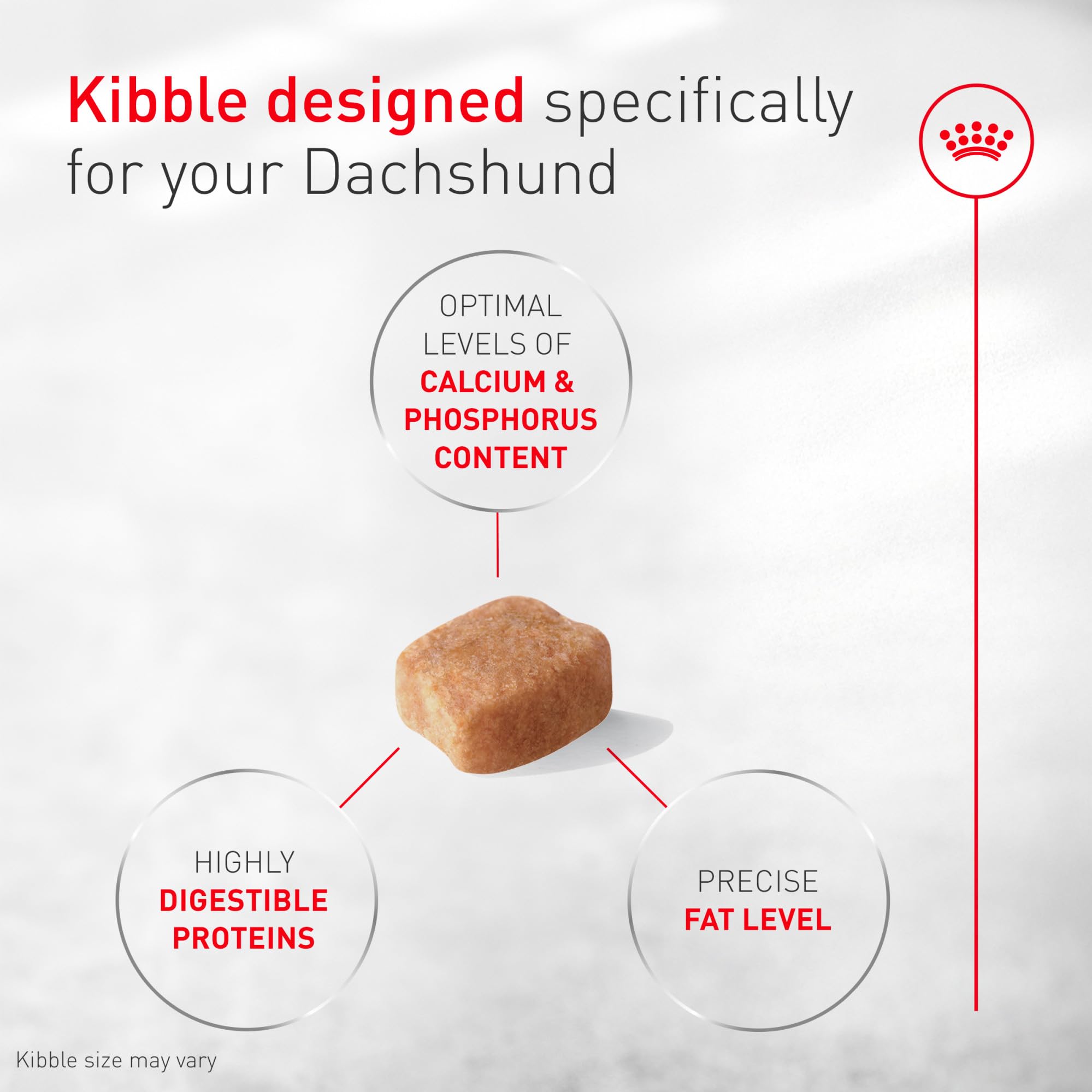 ROYAL CANIN primer plano del kibble con forma adaptada, fácil de agarrar